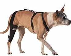 dog-knee-brace-acl
