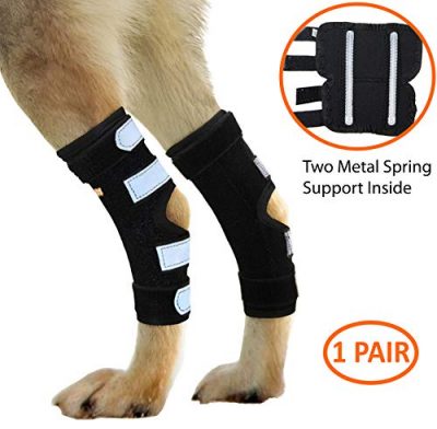 Dog Rear Leg Brace – Canine Knee Brace for Hind Leg ACL – neosportslab.com