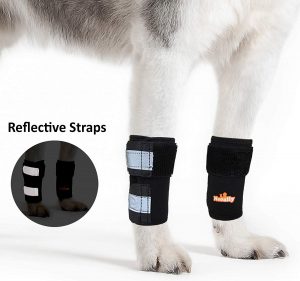 front-leg-braces-no-inserts