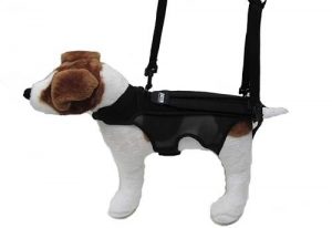 full body dog lifting harness