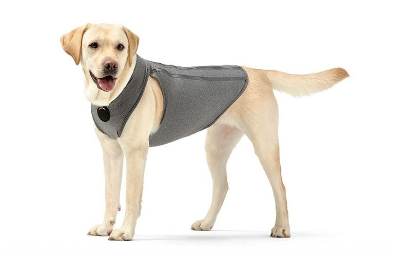 Dog Anxiety Vest Calming Jacket & Wraps for Dogs – neosportslab.com