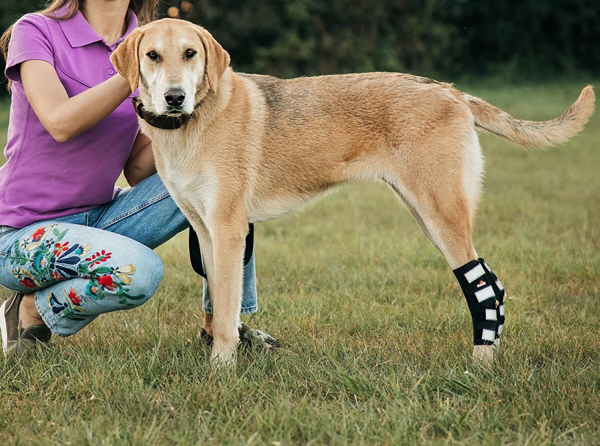 NeoAlly 3-in-1 Dog Splint Braces [Long Version] for Rear Leg Support ...