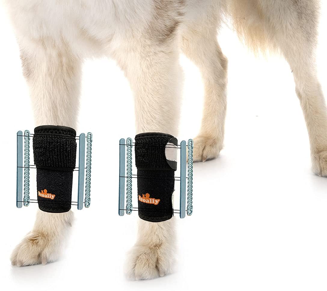 NeoAlly Dog Braces for Back Legs Super Supportive with Dual Metal Spring  Inserts to Stabilize Dog Hind Legs, Help Dogs with Injuries, Sprains,  Arthritis, ACL (Pair) Large (1 Pair)