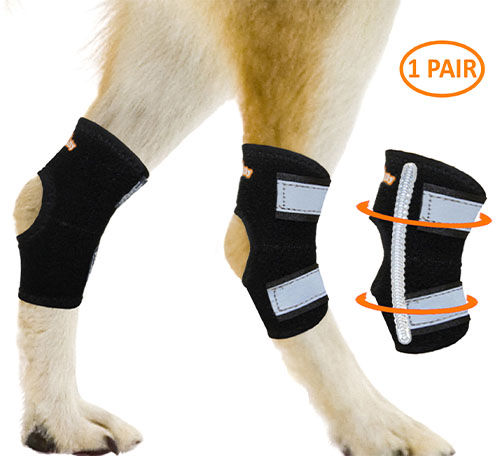 Dog Rear Leg Hock Braces [Short Version] with Metal Spring Strips (Pair ...