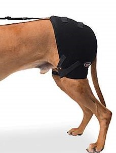 Dog Back Brace Full Body Support Wrap Back Protective Vest for Disabled  Dogs